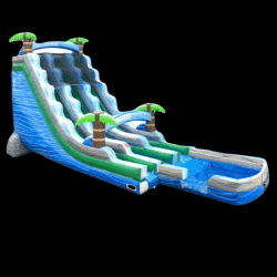 22 Ft Dual Lane Tropical Slide