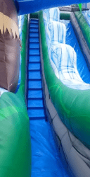 temp img 1 png 197017321 22 Ft Dual Lane Tropical Slide